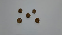 Load image into Gallery viewer, Beads Buttons Pack of 12 (BB-44001)