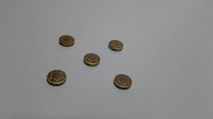 Plastic Buttons Pack of 12 (BP-41001)