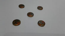 Load image into Gallery viewer, Plastic Buttons Pack of 12(BP-41003)
