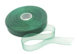 ORGANZA RIBBON (OR-6001)